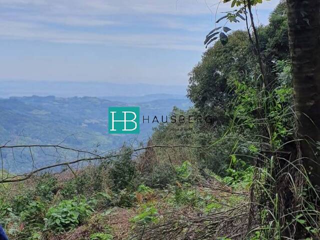 Chácara para Venda em Morro Reuter - 5
