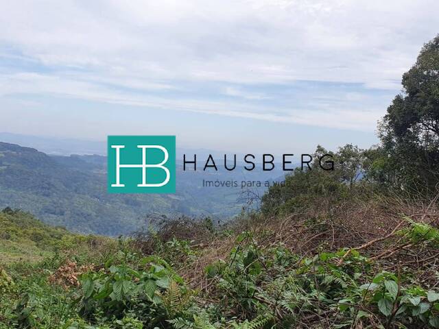 #655 - Chácara para Venda em Morro Reuter - RS - 3