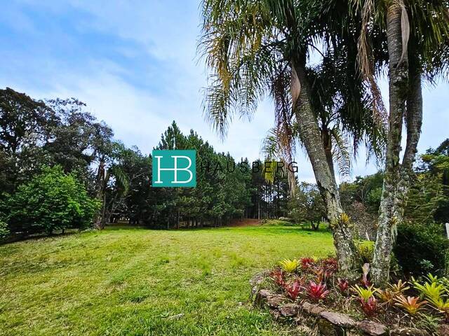 #656 - Área para Venda em Santa Maria do Herval - RS - 2