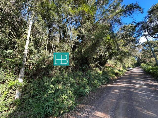 #657 - Terreno para Venda em Morro Reuter - RS - 3