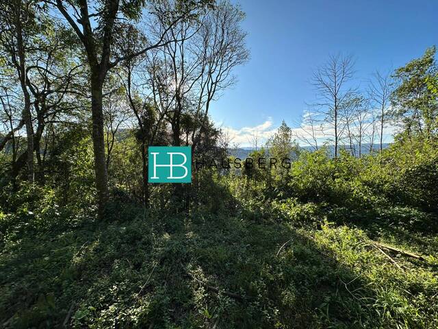 #657 - Terreno para Venda em Morro Reuter - RS - 2