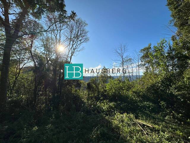 Terreno para Venda em Morro Reuter - 5