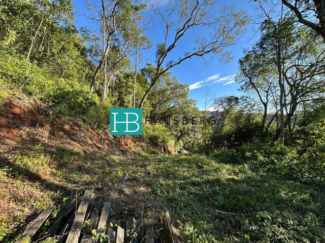 Terreno para Venda em Morro Reuter - 4