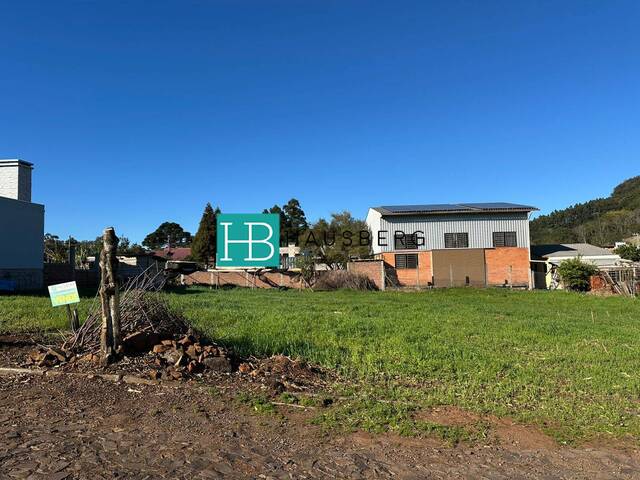 Terreno para Venda em Morro Reuter - 4