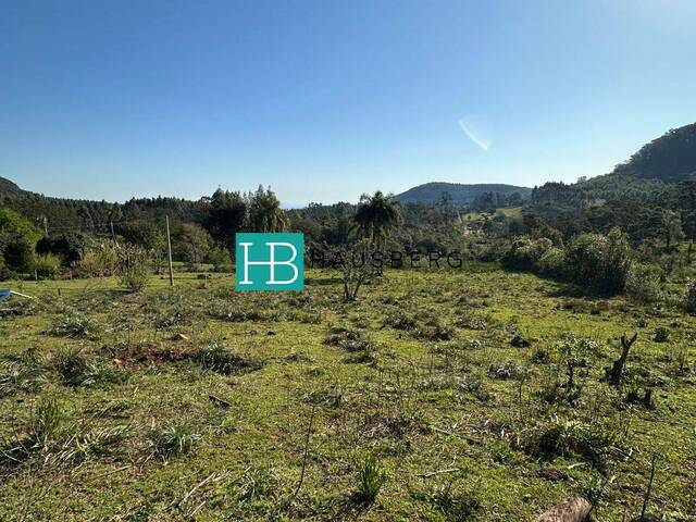 #659 - Terreno para Venda em Morro Reuter - RS - 1
