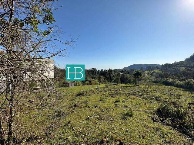 #659 - Terreno para Venda em Morro Reuter - RS - 2
