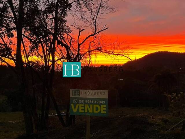 #659 - Terreno para Venda em Morro Reuter - RS - 2
