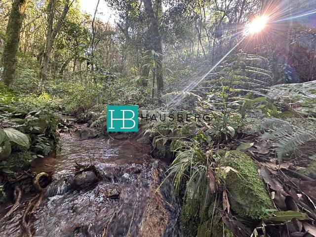 #662 - Casa para Venda em Morro Reuter - RS - 3