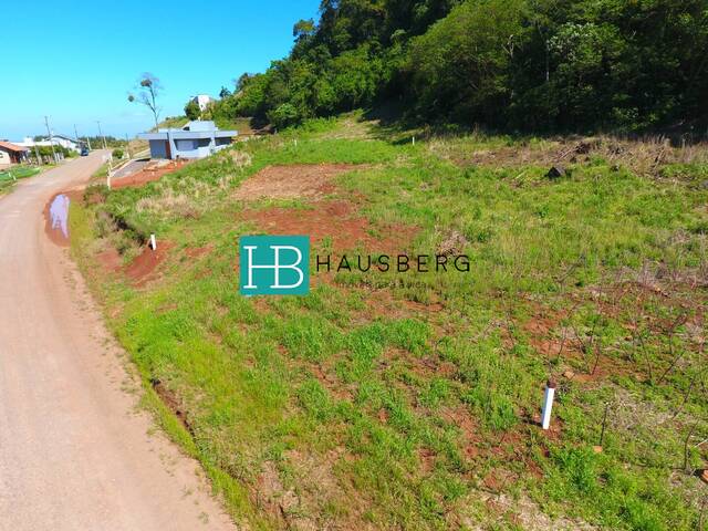 Terreno para Venda em Morro Reuter - 4