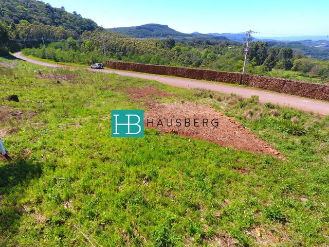 Terreno para Venda em Morro Reuter - 5
