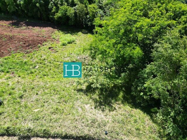 #670 - Terreno para Venda em Morro Reuter - RS - 3