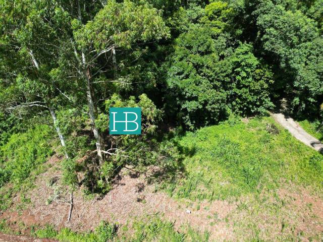 Terreno para Venda em Morro Reuter - 4