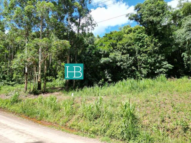 #677 - Terreno para Venda em Morro Reuter - RS - 3