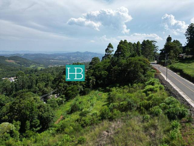 Terreno para Venda em Morro Reuter - 5