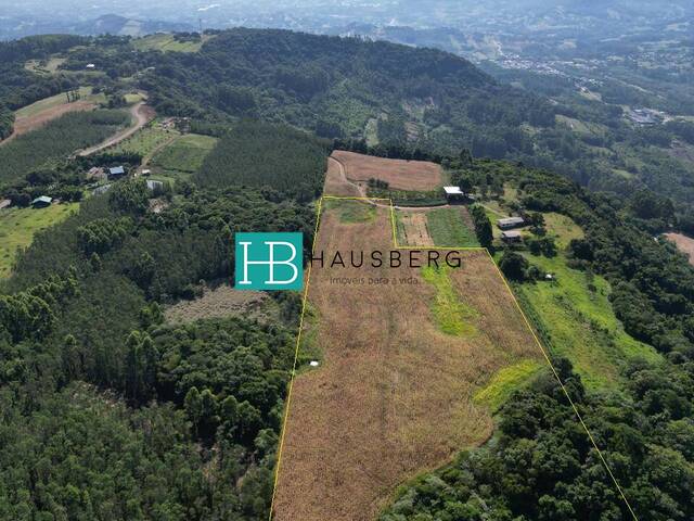 #681 - Chácara para Venda em Presidente Lucena - RS - 3