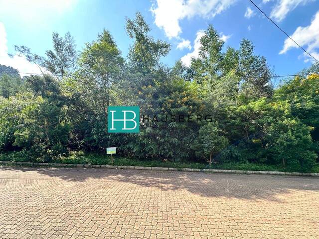 #689 - Terreno para Venda em Morro Reuter - RS - 3