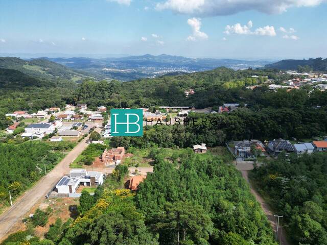 Venda em Linha Gorgen - Morro Reuter