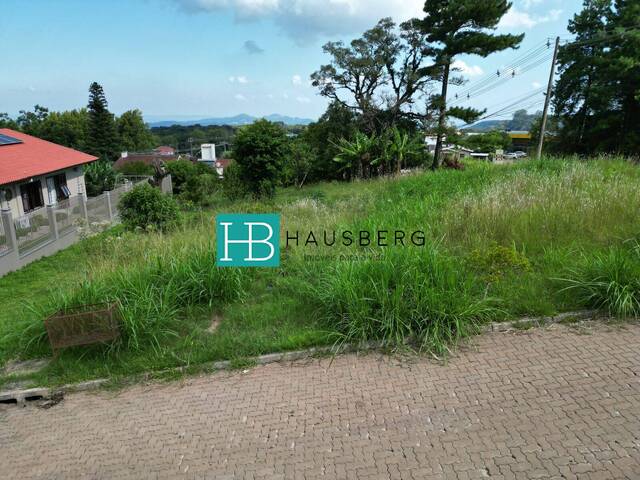 Terreno para Venda em Morro Reuter - 5
