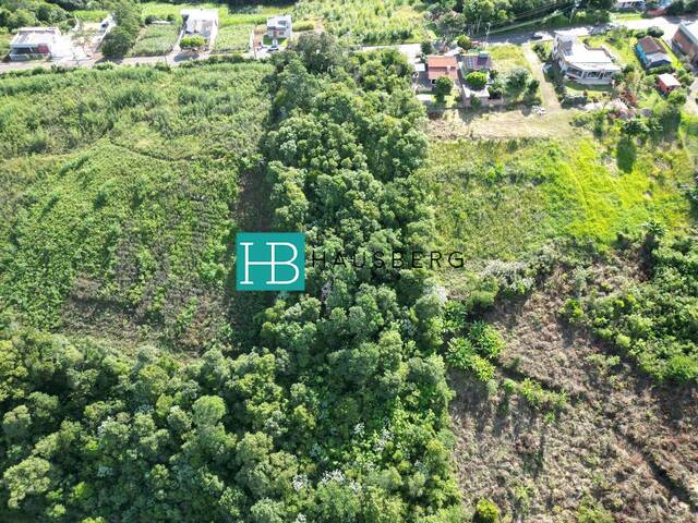 Terreno para Venda em Morro Reuter - 4