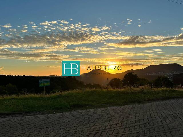 #685 - Terreno para Venda em Morro Reuter - RS - 1