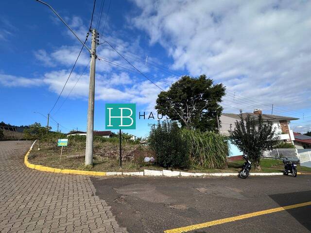 Terreno para Venda em Morro Reuter - 5