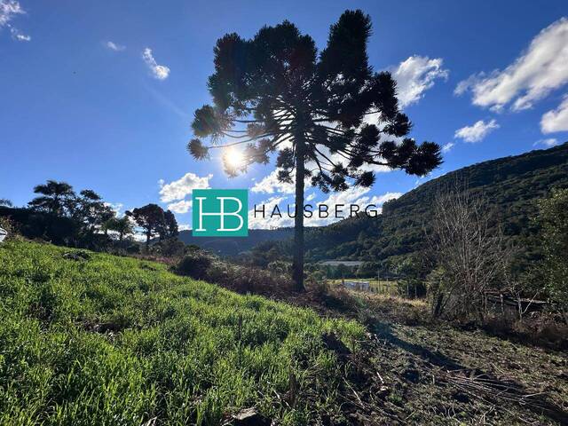 Venda em Padre Eterno Baixo - Santa Maria do Herval