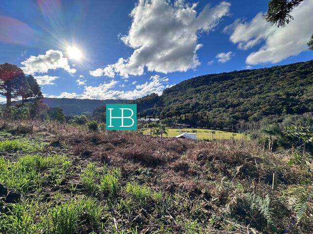 #335 - Terreno para Venda em Santa Maria do Herval - RS - 2