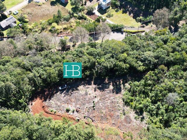 Terreno para Venda em Morro Reuter - 4