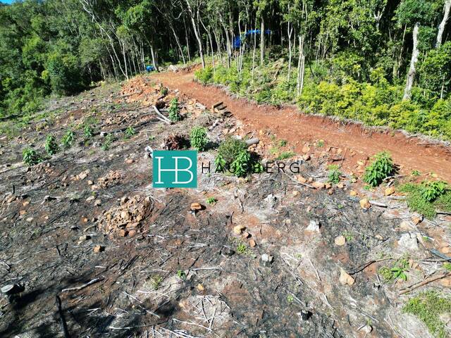 Terreno para Venda em Morro Reuter - 5