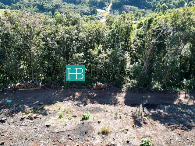 Terreno para Venda em Morro Reuter - 3