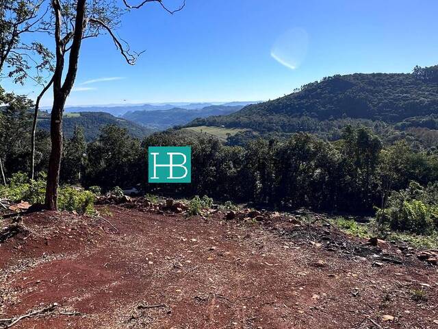 Terreno para Venda em Morro Reuter - 2