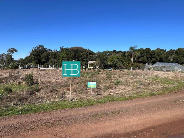 #664 - Terreno para Venda em Morro Reuter - RS