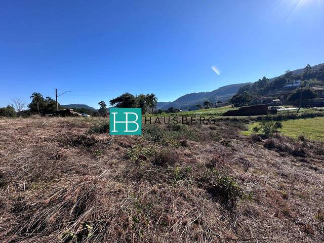 Terreno para Venda em Morro Reuter - 4