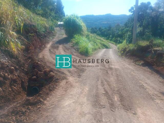 Chácara para Venda em Morro Reuter - 4