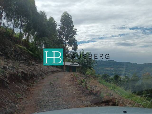 Chácara para Venda em Morro Reuter - 3
