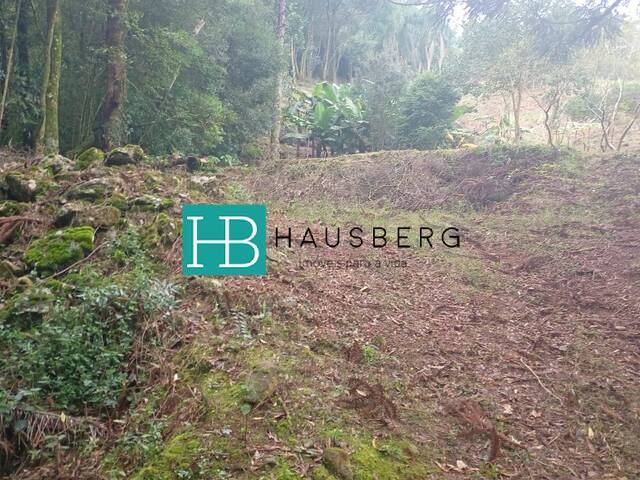 Chácara para Venda em Morro Reuter - 4