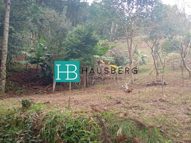 Chácara para Venda em Morro Reuter - 2