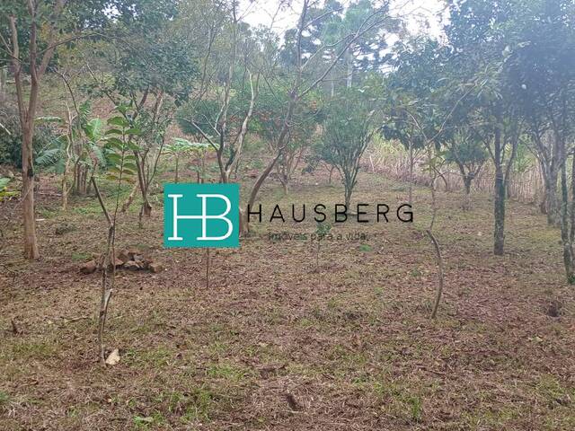 Chácara para Venda em Morro Reuter - 3