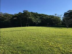 Área para Venda em Morro Reuter - 4