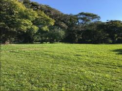 Área para Venda em Morro Reuter - 5