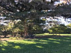 #171 - Terreno para Venda em Morro Reuter - RS - 2