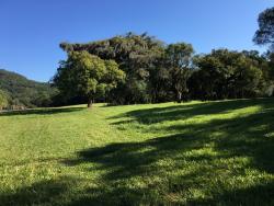 Terreno para Venda em Morro Reuter - 5
