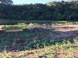 Área para Venda em Morro Reuter - 5