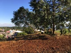 #176 - Área para Venda em Morro Reuter - RS