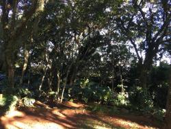 Área para Venda em Morro Reuter - 5