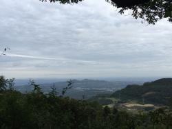 #178 - Chácara para Venda em Morro Reuter - RS - 1