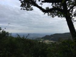 #178 - Chácara para Venda em Morro Reuter - RS - 3