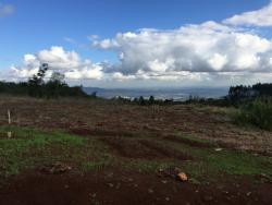 #186 - Terreno para Venda em Morro Reuter - RS