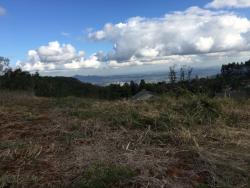 #186 - Terreno para Venda em Morro Reuter - RS