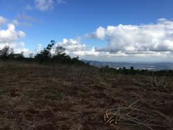 Terreno para Venda em Morro Reuter - 4